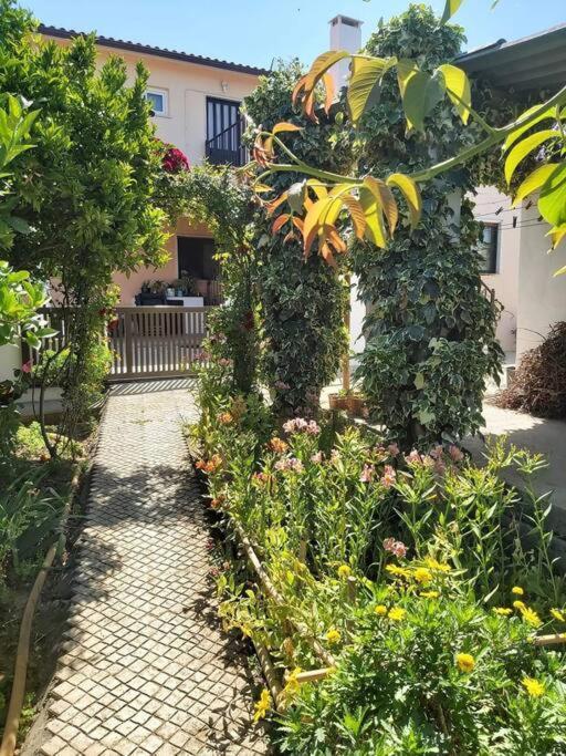 Casa Alegria - The Orangery Appartement Tomar Buitenkant foto